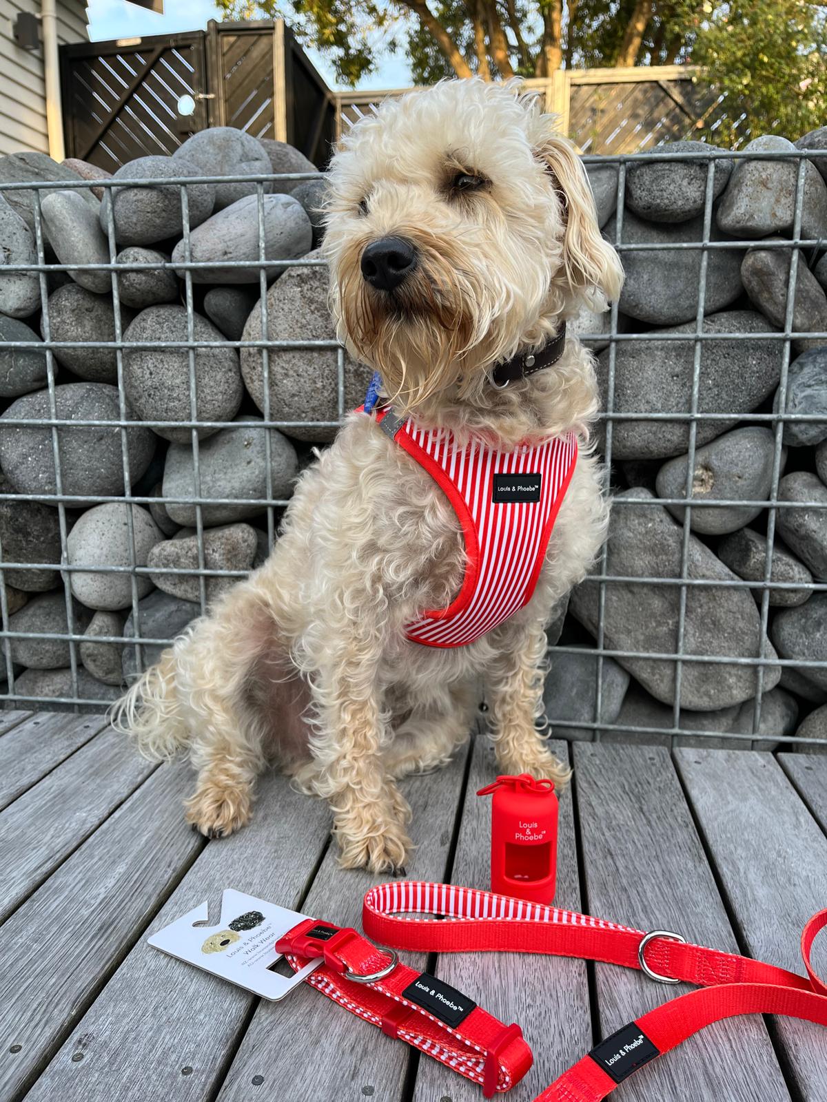 Waterproof Dog poop bag holder- Choose your colour