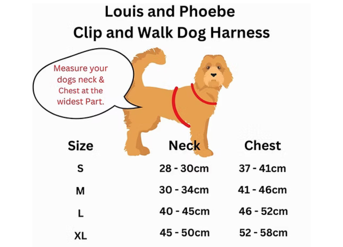 Louis and Phoebe - Click and walk harness- Red