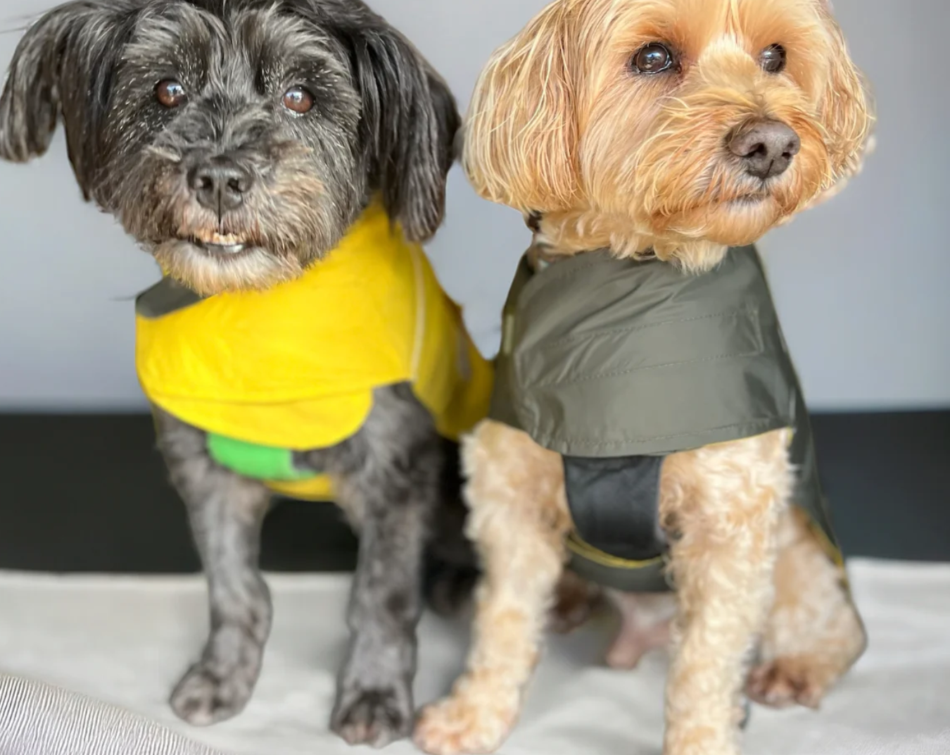 Waterproof Dog Raincoat Reversible Lightweight Olive Green/Yellow image 0