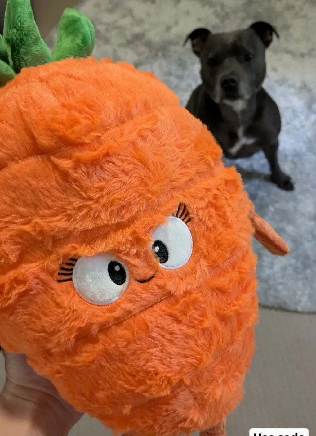 Pals for paws™ - Carrot Durable Plush Dog Toy