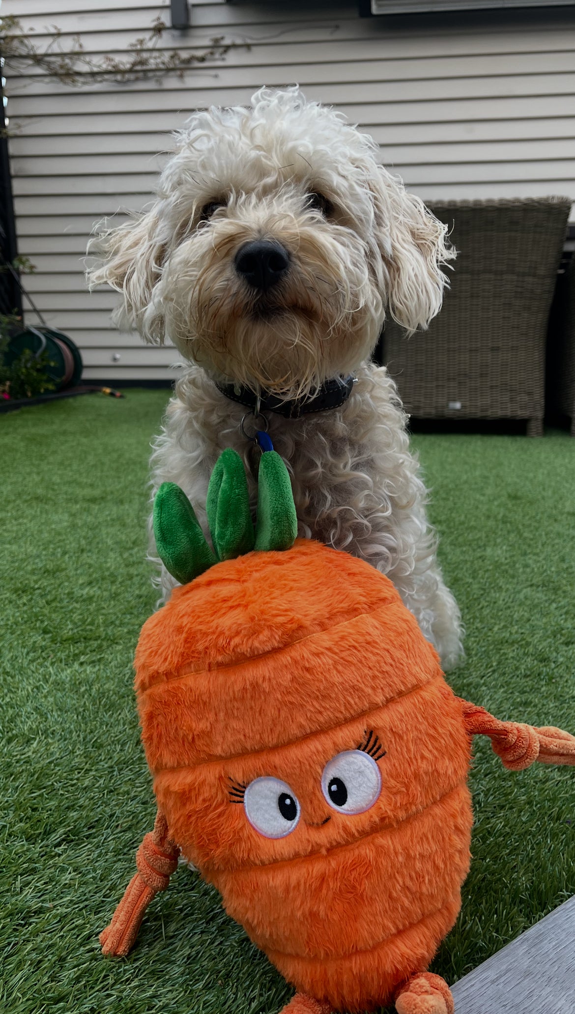 Pals for paws™ - Carrot Durable Plush Dog Toy