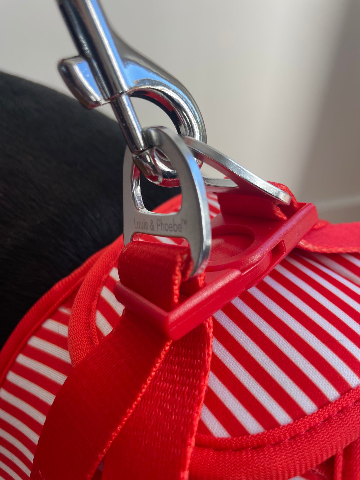 Louis & Phoebe - Candy Stripe Leash -Red