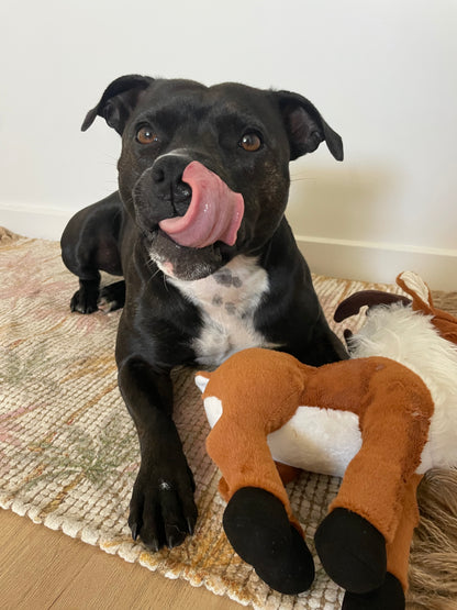 Staffy dog toy