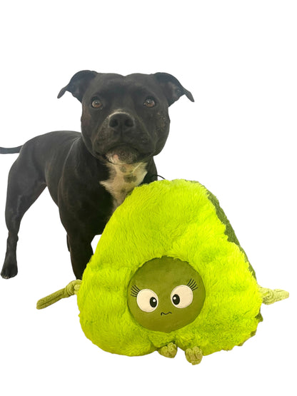 large dog toy