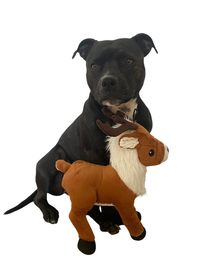 2 in 1 dog toy – Pals for Paws™ Collection - Deer