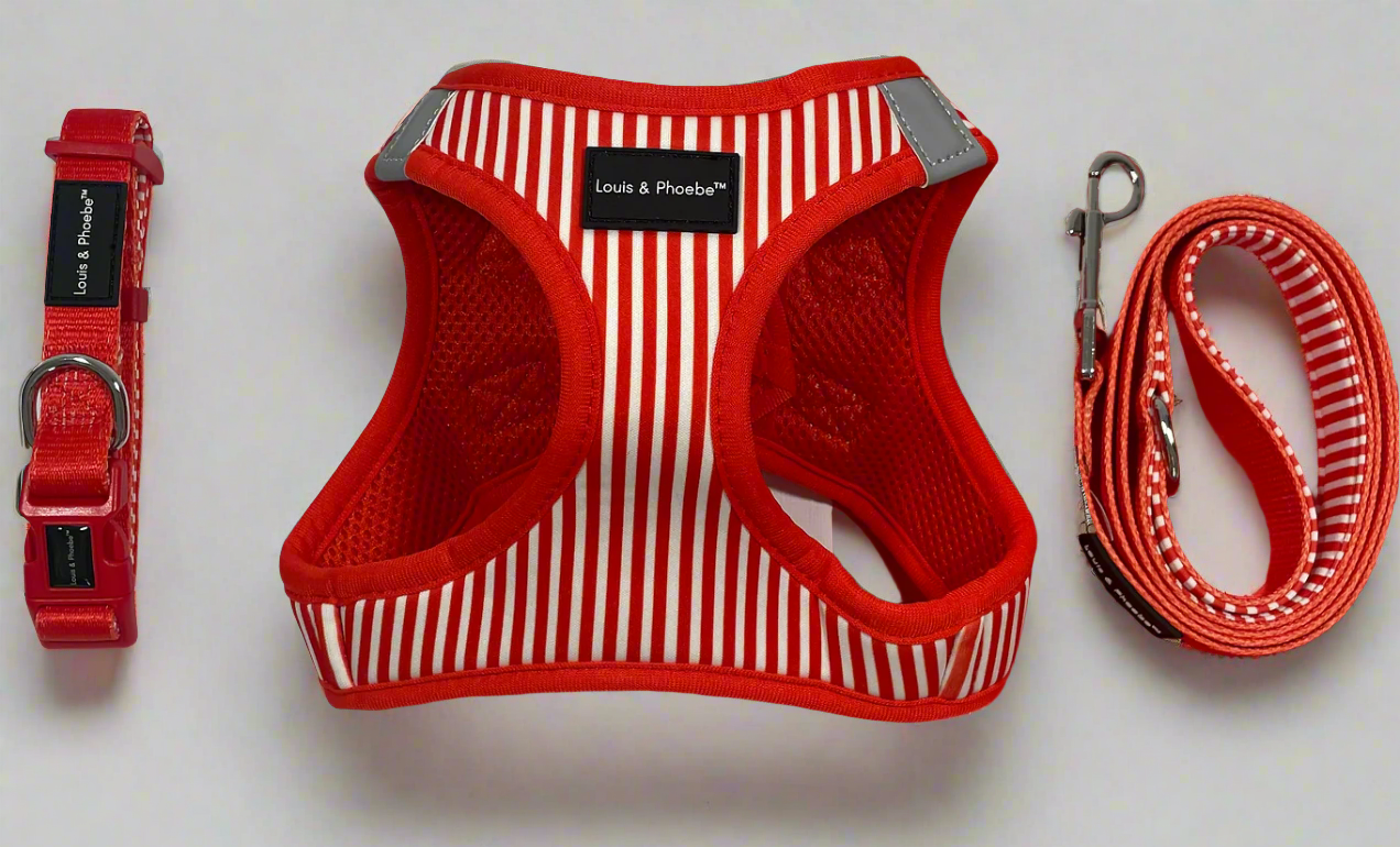 Louis and Phoebe - Click and walk harness- Red