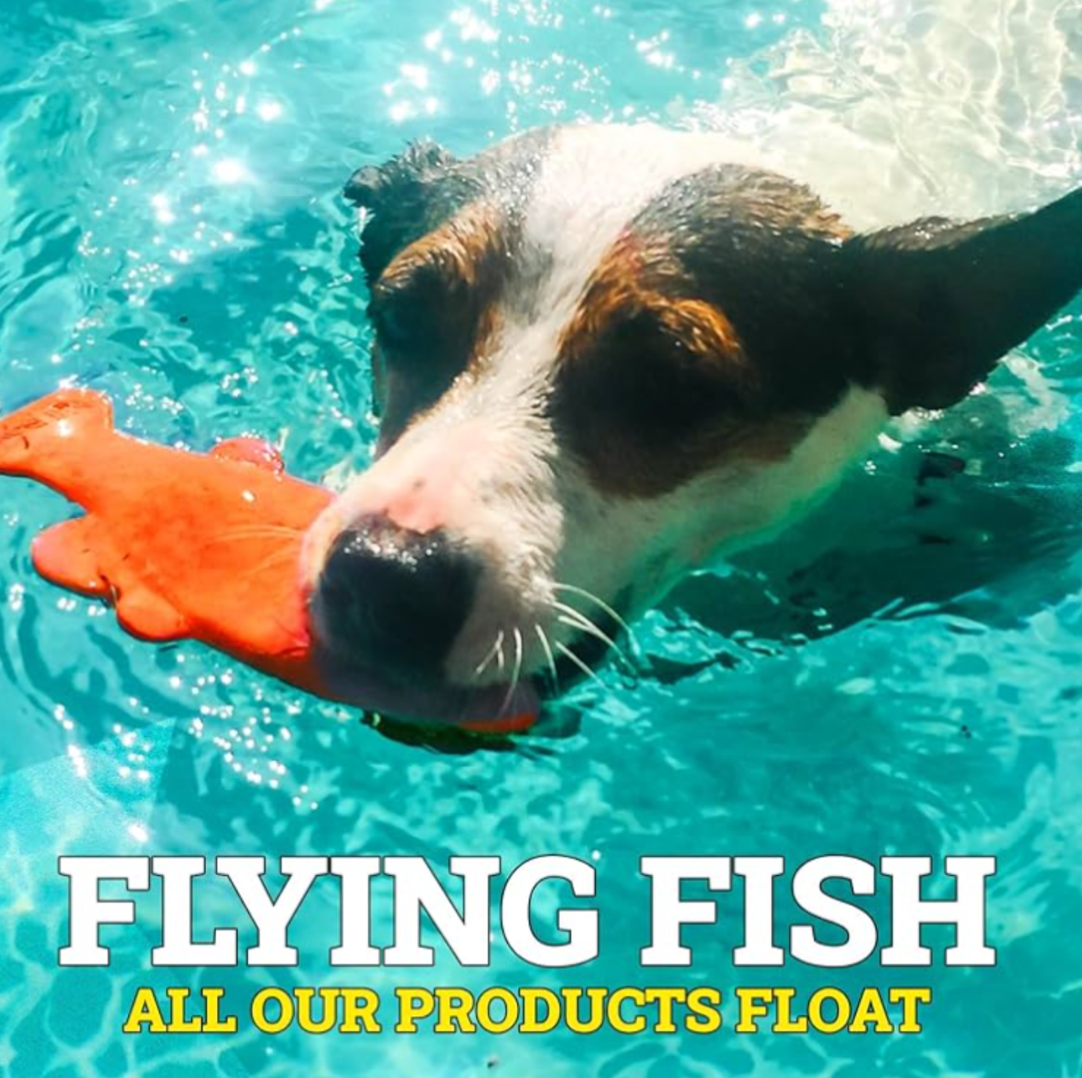 RuffDawg- Rubber Flying Fish - Durable Dog toy