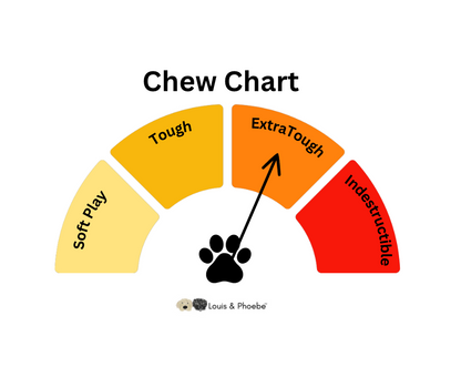 Beef Flavour - Chew  Dog Toy - Extra Tough Dog Toy - Dino bone