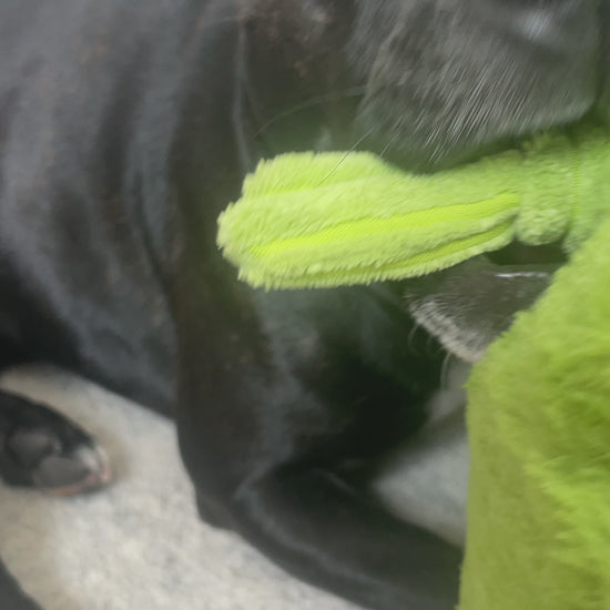 Dog chew toy Staffy proof