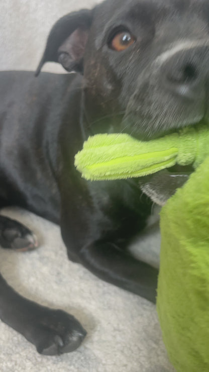 Dog chew toy Staffy proof